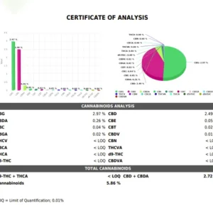 CBG Lab Report 2026