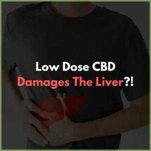 cbd_damages_liver