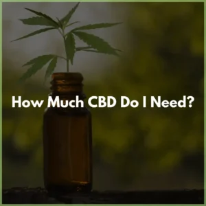 how_much_cbd